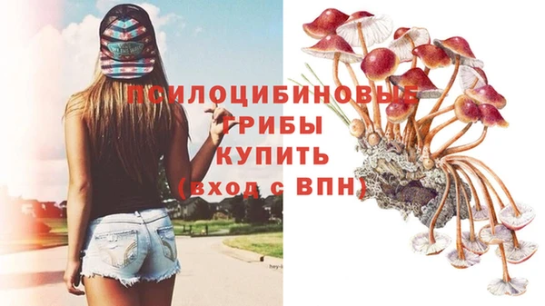 прущая мука Магас