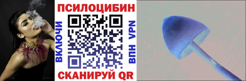Псилоцибиновые грибы Cubensis  блэк спрут онион  Североуральск  даркнет сайт 